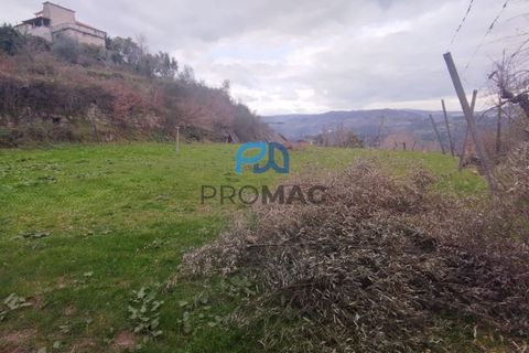 Helårsgrund i Cinfaes, Viseu, Cinfaes - € 25.000 | Ref: PROMAG#273 - foto 12