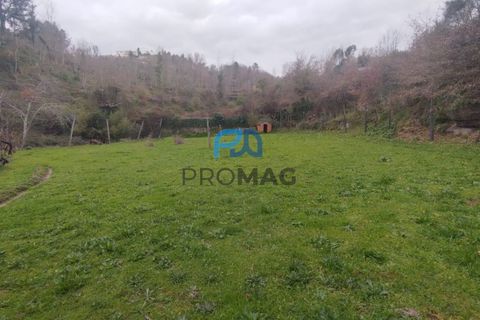 Helårsgrund i Cinfaes, Viseu, Cinfaes - € 25.000 | Ref: PROMAG#273 - foto 13