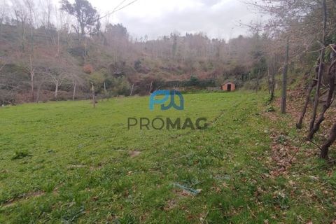 Helårsgrund i Cinfaes, Viseu, Cinfaes - € 25.000 | Ref: PROMAG#273 - foto 14