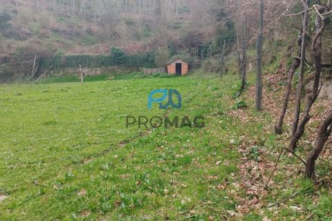 Helårsgrund i Cinfaes, Viseu, Cinfaes - € 25.000 | Ref: PROMAG#273 - foto 15