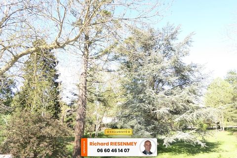 Villa i Champcueil, Essonne, Champcueil - € 399.000 | Ref: 830034155948 - foto 28