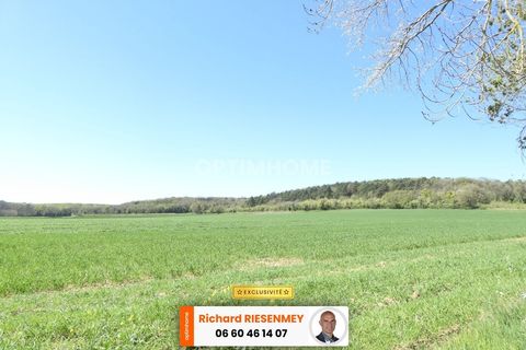 Villa i Champcueil, Essonne, Champcueil - € 399.000 | Ref: 830034155948 - foto 31