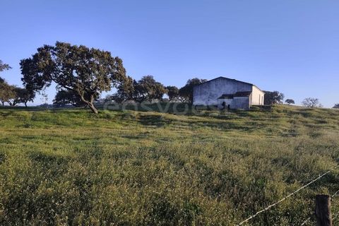 Farm hus i Messejana, Beja, Messejana - € 450.000 | Ref: BJ98859AJ - foto 1
