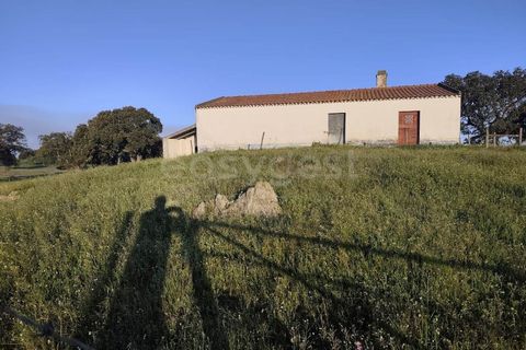 Farm hus i Messejana, Beja, Messejana - € 450.000 | Ref: BJ98859AJ - foto 2