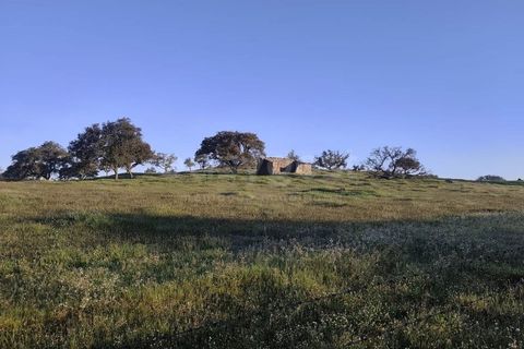 Farm hus i Messejana, Beja, Messejana - € 450.000 | Ref: BJ98859AJ - foto 3