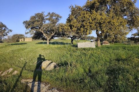 Farm hus i Messejana, Beja, Messejana - € 450.000 | Ref: BJ98859AJ - foto 4