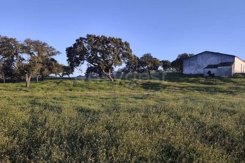 Farm hus i Messejana, Beja, Messejana - € 450.000 | Ref: BJ98859AJ - foto 6