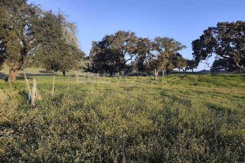 Farm hus i Messejana, Beja, Messejana - € 450.000 | Ref: BJ98859AJ - foto 7
