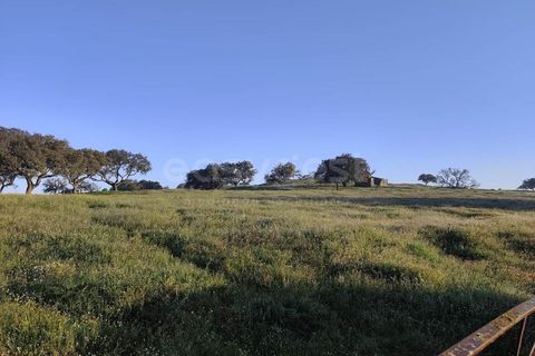 Farm hus i Messejana, Beja, Messejana - € 450.000 | Ref: BJ98859AJ - foto 8