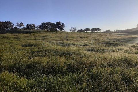 Farm hus i Messejana, Beja, Messejana - € 450.000 | Ref: BJ98859AJ - foto 9