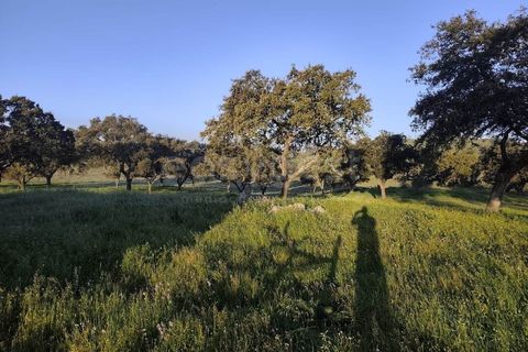 Farm hus i Messejana, Beja, Messejana - € 450.000 | Ref: BJ98859AJ - foto 14