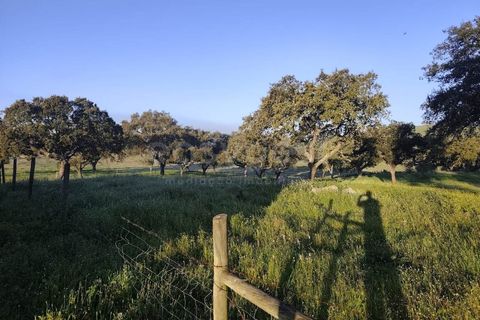 Farm hus i Messejana, Beja, Messejana - € 450.000 | Ref: BJ98859AJ - foto 15