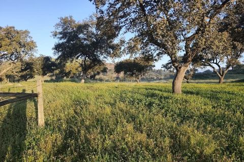 Farm hus i Messejana, Beja, Messejana - € 450.000 | Ref: BJ98859AJ - foto 16
