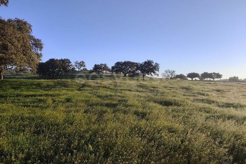 Farm hus i Messejana, Beja, Messejana - € 450.000 | Ref: BJ98859AJ - foto 17