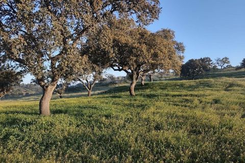 Farm hus i Messejana, Beja, Messejana - € 450.000 | Ref: BJ98859AJ - foto 19