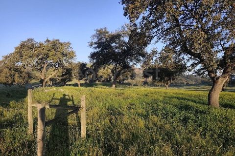 Farm hus i Messejana, Beja, Messejana - € 450.000 | Ref: BJ98859AJ - foto 20