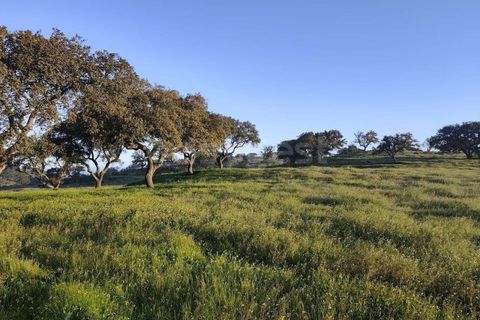 Farm hus i Messejana, Beja, Messejana - € 450.000 | Ref: BJ98859AJ - foto 22