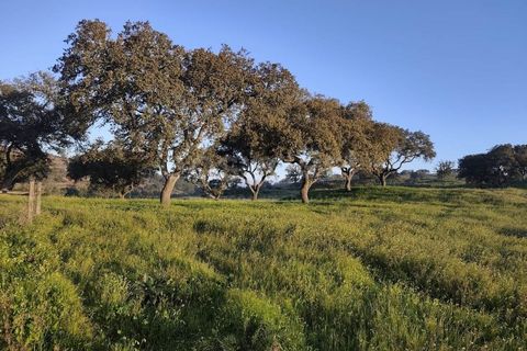 Farm hus i Messejana, Beja, Messejana - € 450.000 | Ref: BJ98859AJ - foto 23