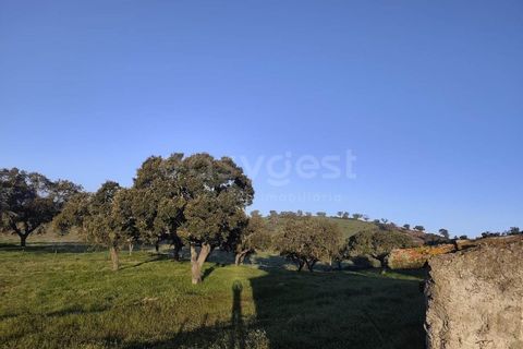 Farm hus i Messejana, Beja, Messejana - € 450.000 | Ref: BJ98859AJ - foto 24