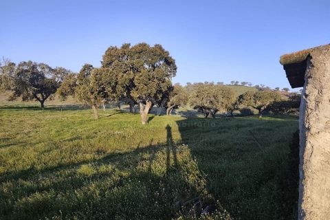 Farm hus i Messejana, Beja, Messejana - € 450.000 | Ref: BJ98859AJ - foto 25