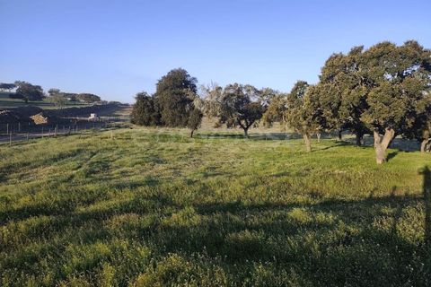 Farm hus i Messejana, Beja, Messejana - € 450.000 | Ref: BJ98859AJ - foto 26