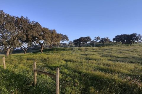 Farm hus i Messejana, Beja, Messejana - € 450.000 | Ref: BJ98859AJ - foto 27