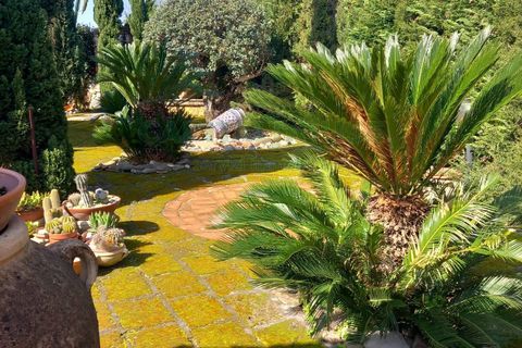 Villa a Baiano, Avellino, Baiano - € 450.000 | Ref: 459568 - foto 45
