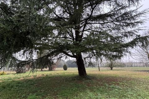 Villa i Trecenta, Rovigo, Trecenta - € 200.000 | Ref: OB85 - foto 9