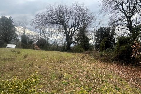 Erhvervsejendom i Trecastelli, Ancona, Trecastelli - € 60.000 | Ref: TE220 - foto 5
