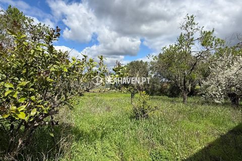 Villa i Paderne, Faro, Paderne - € 320.000 | Ref: Sea0083 - foto 11