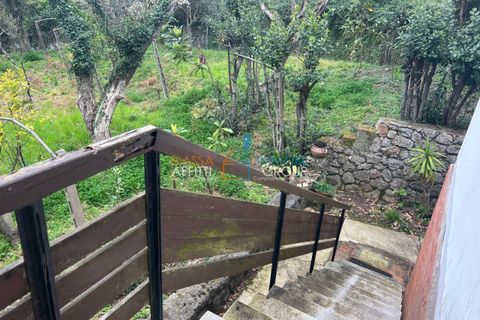 Villa i Massa, Massa and Carrara, Massa - € 320.000 | Ref: 3630 - foto 13