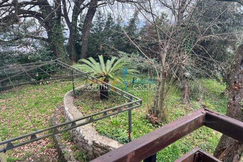 Villa i Massa, Massa and Carrara, Massa - € 320.000 | Ref: 3630 - foto 14
