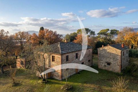 Farm hus i Lucignano, Arezzo, Lucignano - € 680.000 | Ref: a1190rc97929 - foto 13