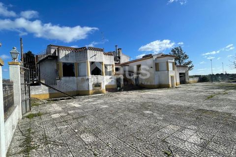 Villa i Terrugem e Vila Boim, Portalegre, Terrugem e Vila Boim - € 280.000 | Ref: MTJ_MI_62994 - foto 9