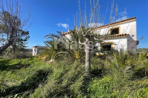 Villa i Terrugem e Vila Boim, Portalegre, Terrugem e Vila Boim - € 280.000 | Ref: MTJ_MI_62994 - foto 10