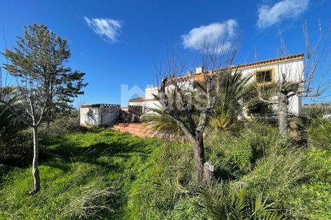 Villa i Terrugem e Vila Boim, Portalegre, Terrugem e Vila Boim - € 280.000 | Ref: MTJ_MI_62994 - foto 11