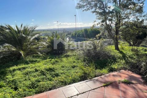 Villa i Terrugem e Vila Boim, Portalegre, Terrugem e Vila Boim - € 280.000 | Ref: MTJ_MI_62994 - foto 13