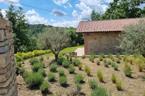 Villa i Dogliani, Cuneo, Dogliani - € 1.260.000 | Ref: 86826864 - foto 6
