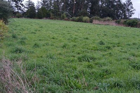 Tomt i Esposende, Braga, Esposende - € 383 600 | Ref: 845631 - foto 5