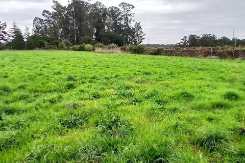 Tomt i Esposende, Braga, Esposende - € 383 600 | Ref: 845631 - foto 7