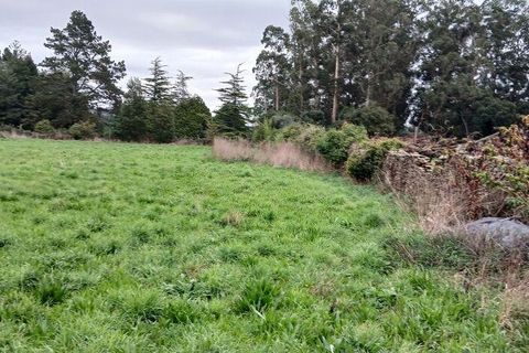 Tomt i Esposende, Braga, Esposende - € 383 600 | Ref: 845631 - foto 14