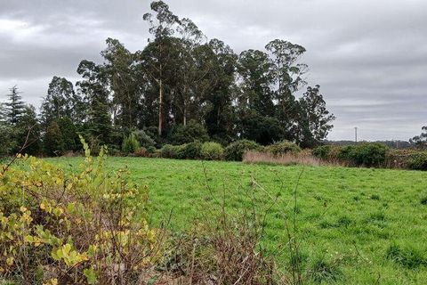 Tomt i Esposende, Braga, Esposende - € 383 600 | Ref: 845631 - foto 18