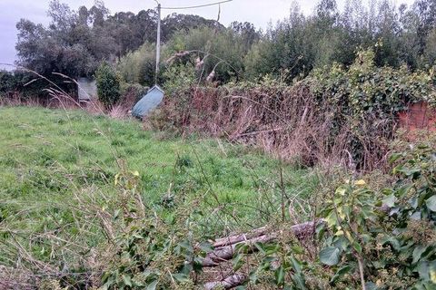 Tomt i Esposende, Braga, Esposende - € 383 600 | Ref: 845631 - foto 19