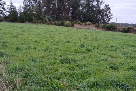 Tomt i Esposende, Braga, Esposende - € 383 600 | Ref: 845631 - foto 33