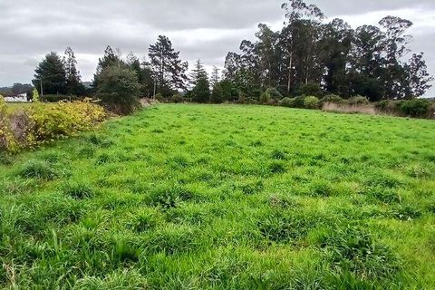 Tomt i Esposende, Braga, Esposende - € 383 600 | Ref: 845631 - foto 35