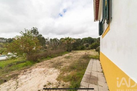 Farm i Coruche, Santarem, Coruche - € 500.000 | Ref: 836861 - foto 23