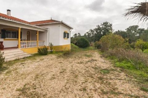 Farm i Coruche, Santarem, Coruche - € 500.000 | Ref: 836861 - foto 25