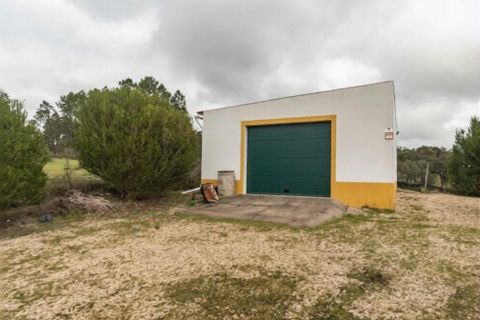 Farm i Coruche, Santarem, Coruche - € 500.000 | Ref: 836861 - foto 26