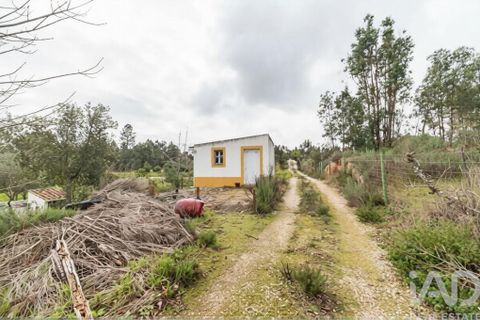 Farm i Coruche, Santarem, Coruche - € 500.000 | Ref: 836861 - foto 29