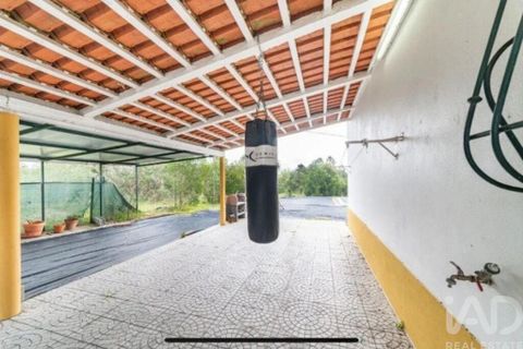 Farm i Coruche, Santarem, Coruche - € 500.000 | Ref: 836861 - foto 30